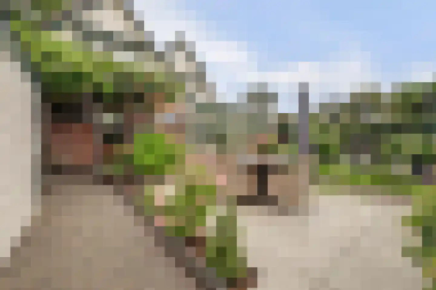 Berenbosweg 28 Nunspeet thumbnail 39