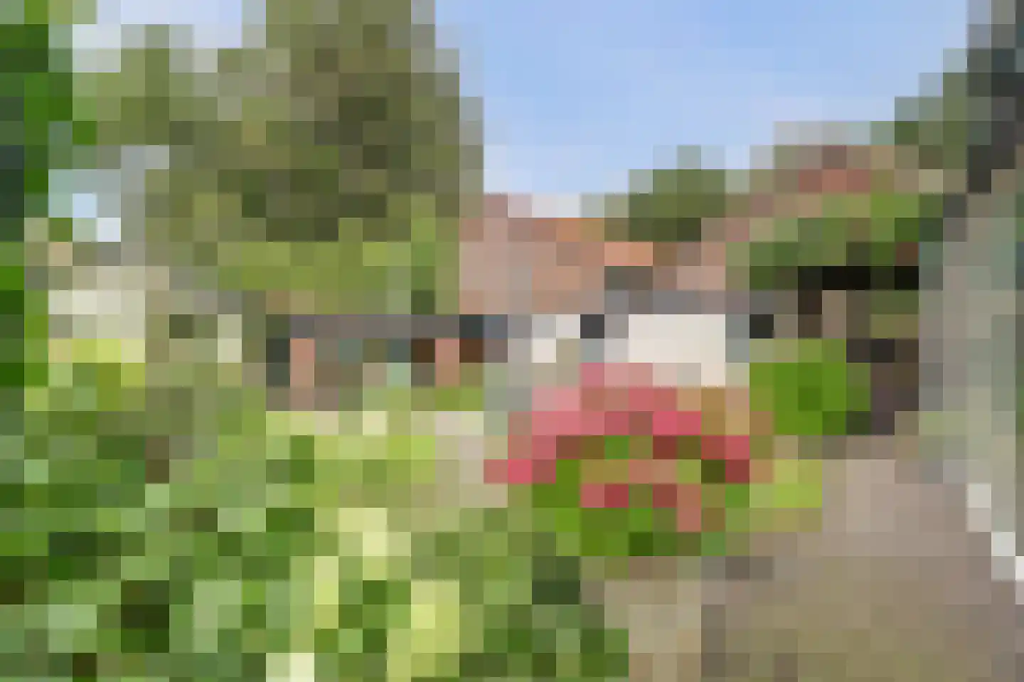Berenbosweg 28 Nunspeet thumbnail 43