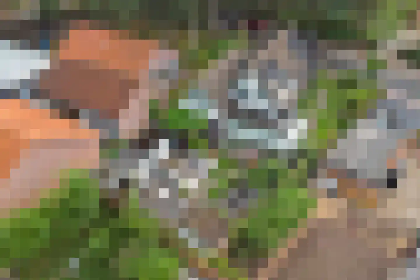 Berenbosweg 28 Nunspeet thumbnail 48
