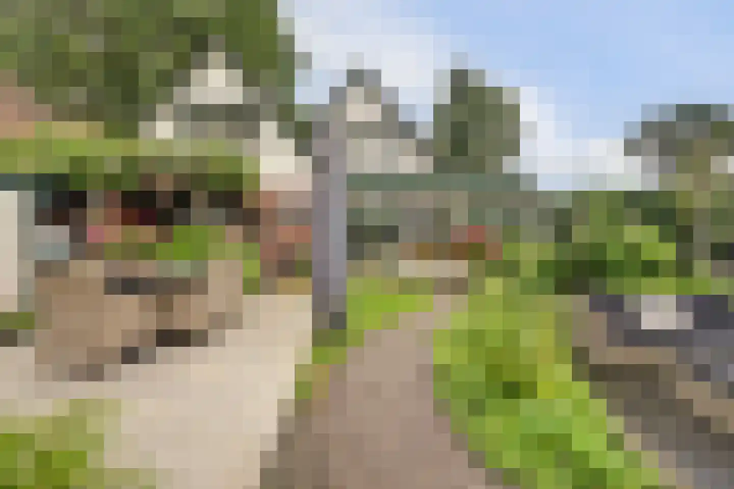 Berenbosweg 28 Nunspeet thumbnail 6