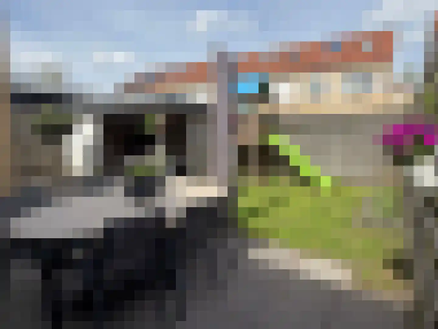 Berend Slingenbergstraat 12 A Coevorden thumbnail 15