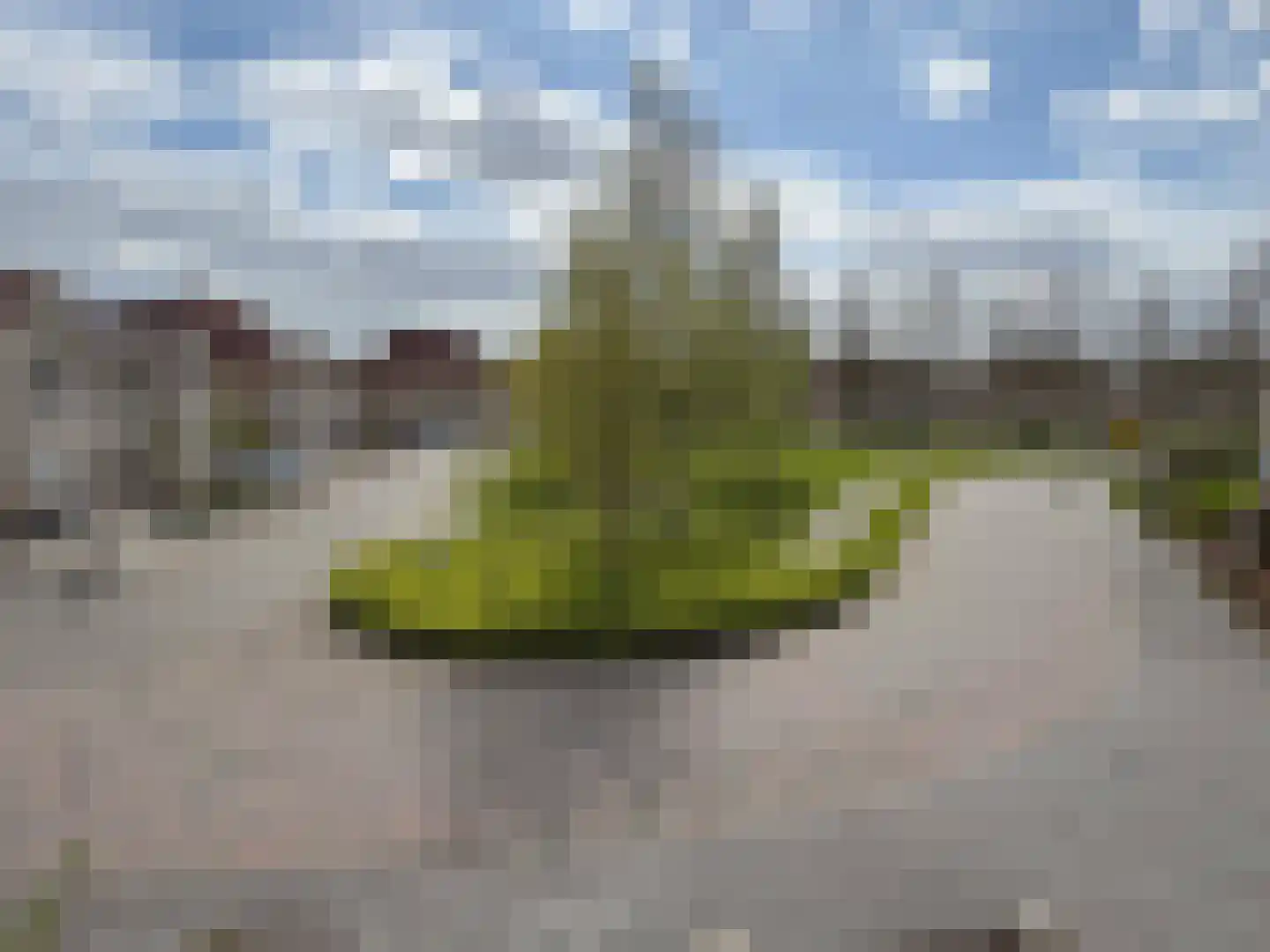 Berend Slingenbergstraat 12 A Coevorden thumbnail 33