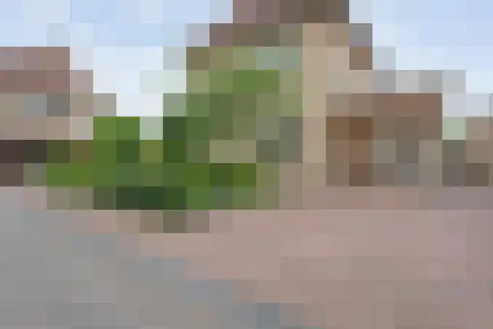 Berend Slingenbergstraat 13 Coevorden thumbnail 5