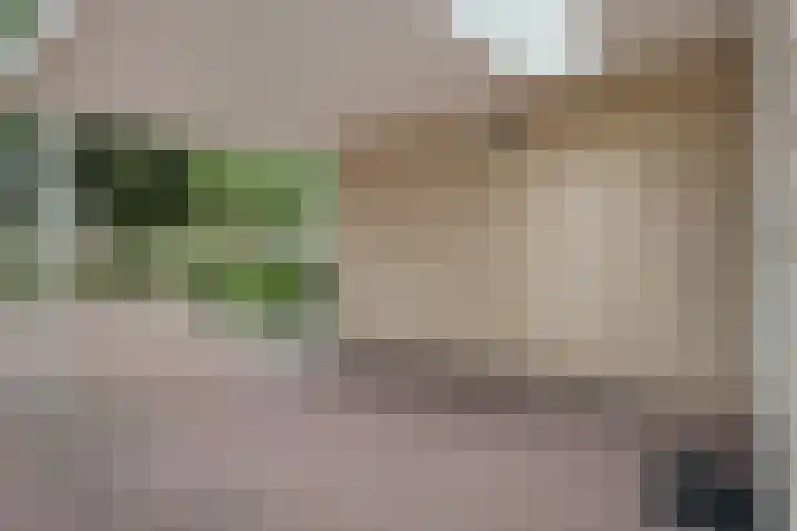 Berend Slingenbergstraat 13 Coevorden thumbnail 6