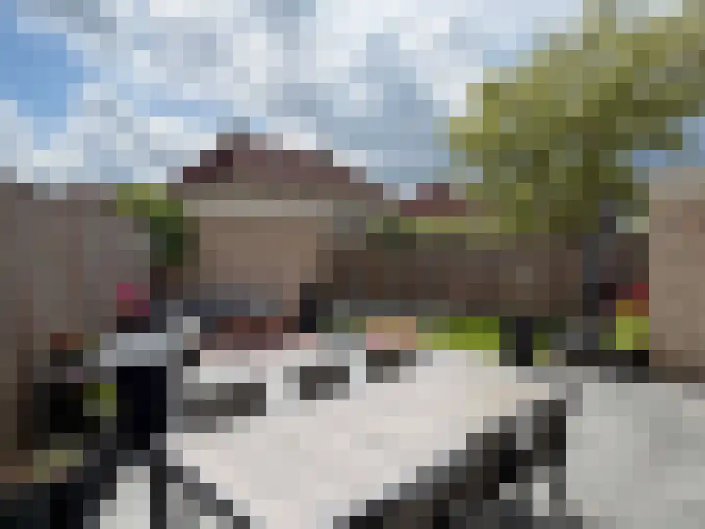 Berend Slingenbergstraat 33 Coevorden thumbnail 13