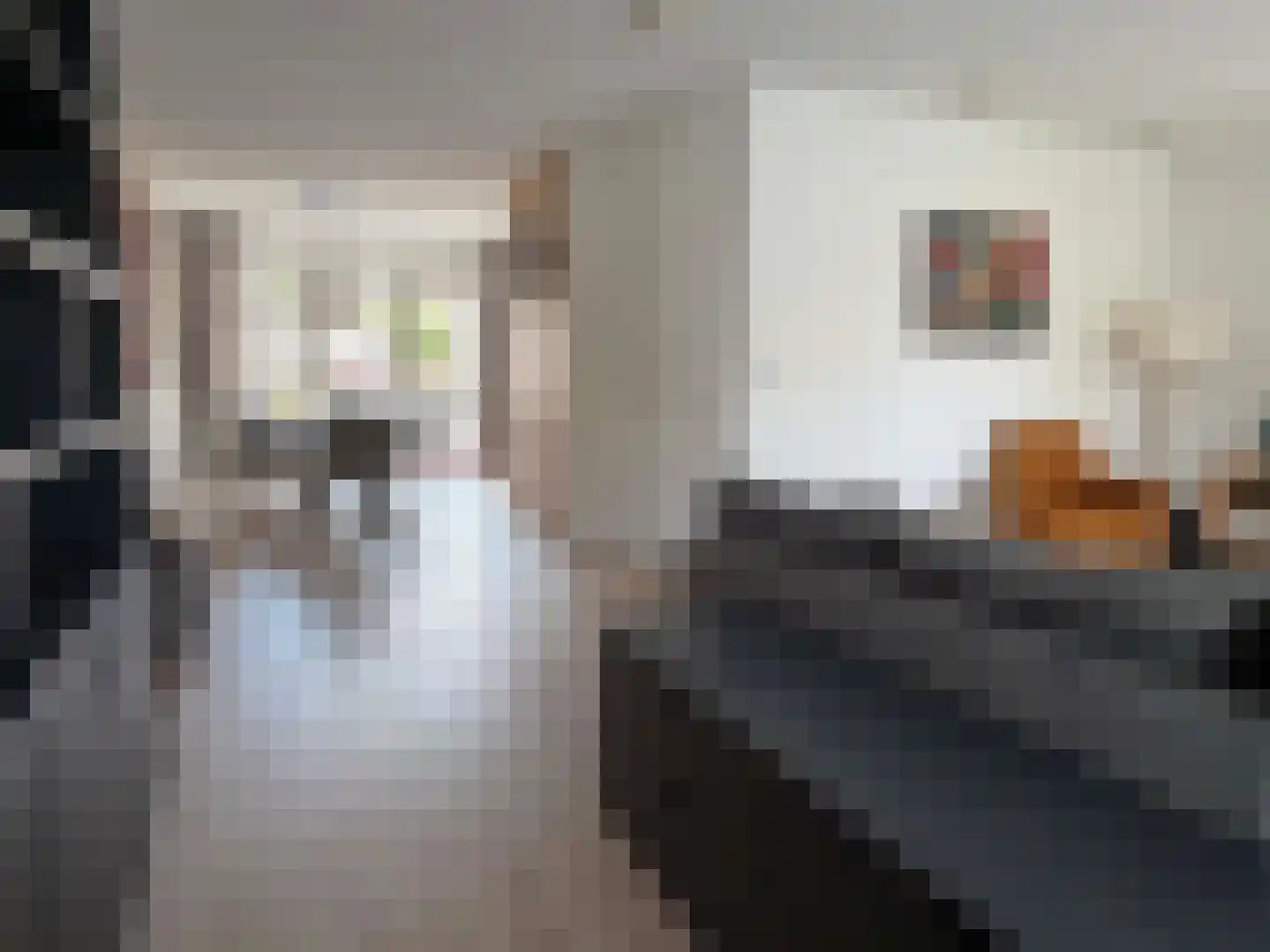 Berend Slingenbergstraat 33 Coevorden thumbnail 18