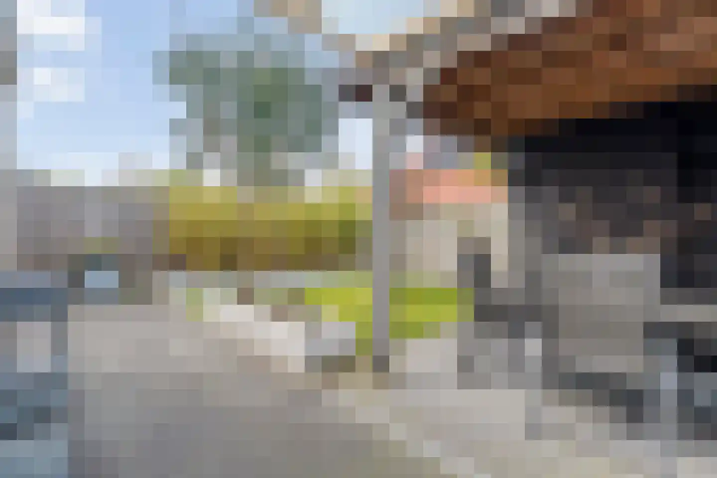 Berend Slingenbergstraat 42 Coevorden thumbnail 55
