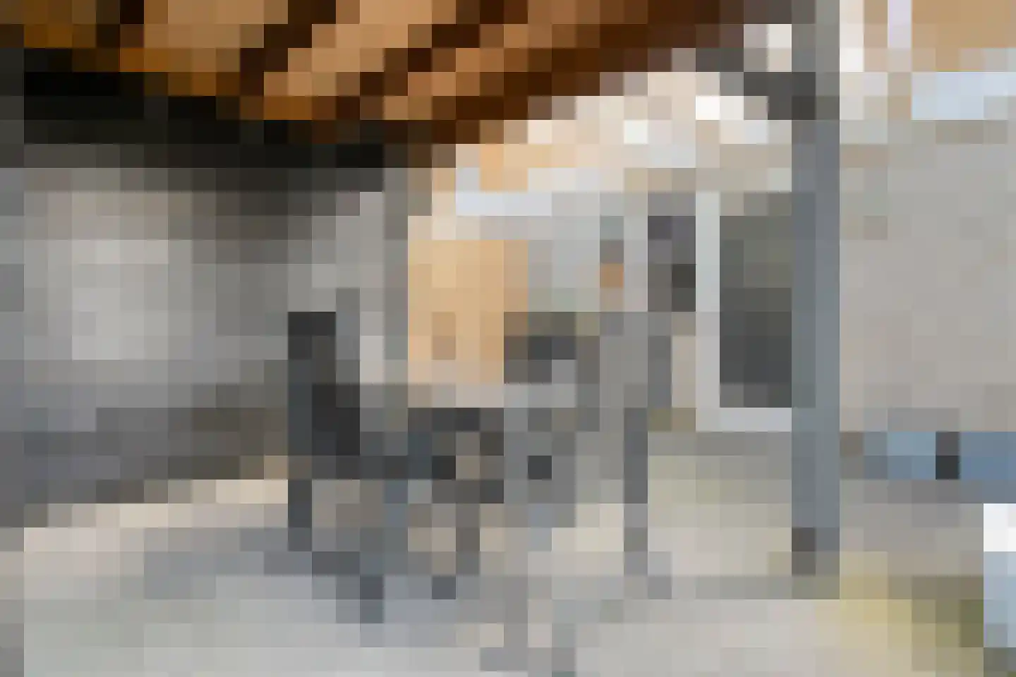 Berend Slingenbergstraat 42 Coevorden thumbnail 57