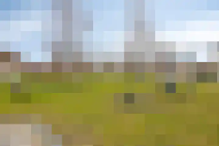 Berend Slingenbergstraat 6 Coevorden thumbnail 42