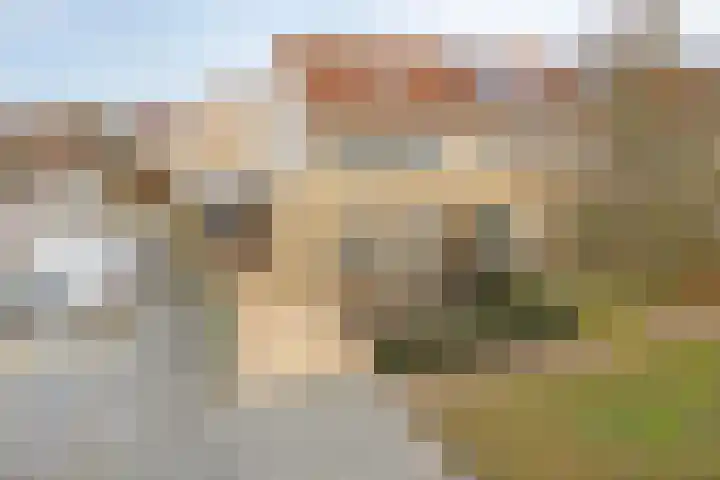 Berend Slingenbergstraat 6 Coevorden thumbnail 5