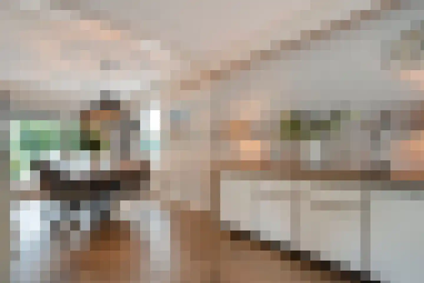 Berend Vinckenstraat 29 Ootmarsum thumbnail 11