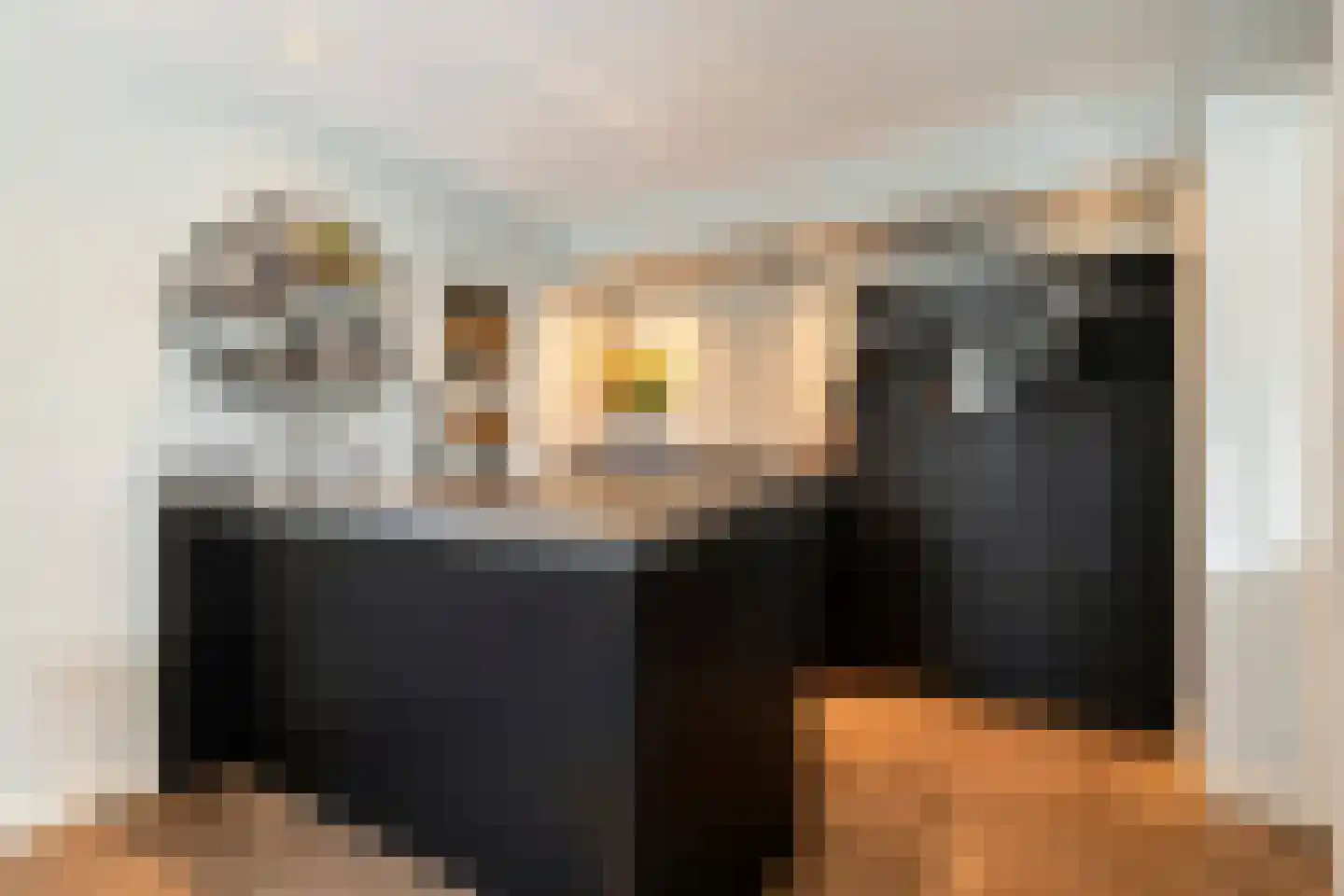 Berend Vinckenstraat 29 Ootmarsum thumbnail 13