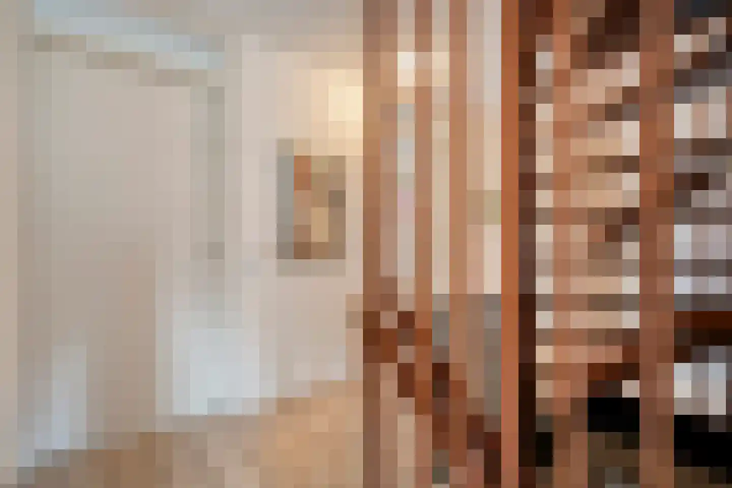 Berend Vinckenstraat 29 Ootmarsum thumbnail 19