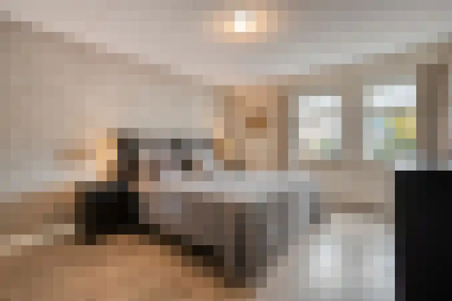 Berend Vinckenstraat 29 Ootmarsum thumbnail 20