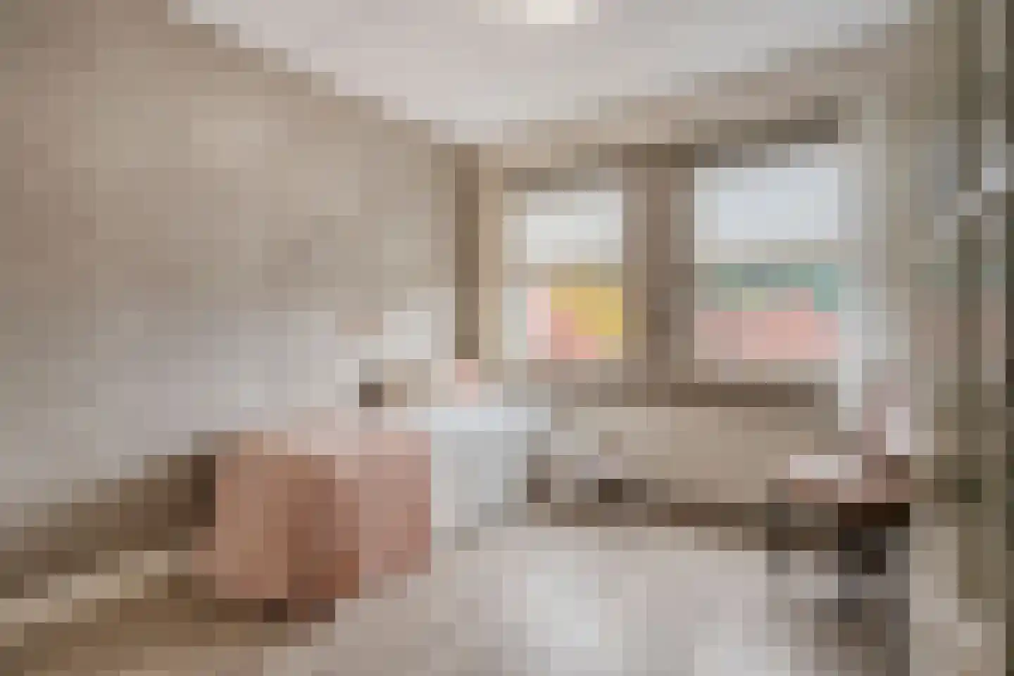Berend Vinckenstraat 29 Ootmarsum thumbnail 21