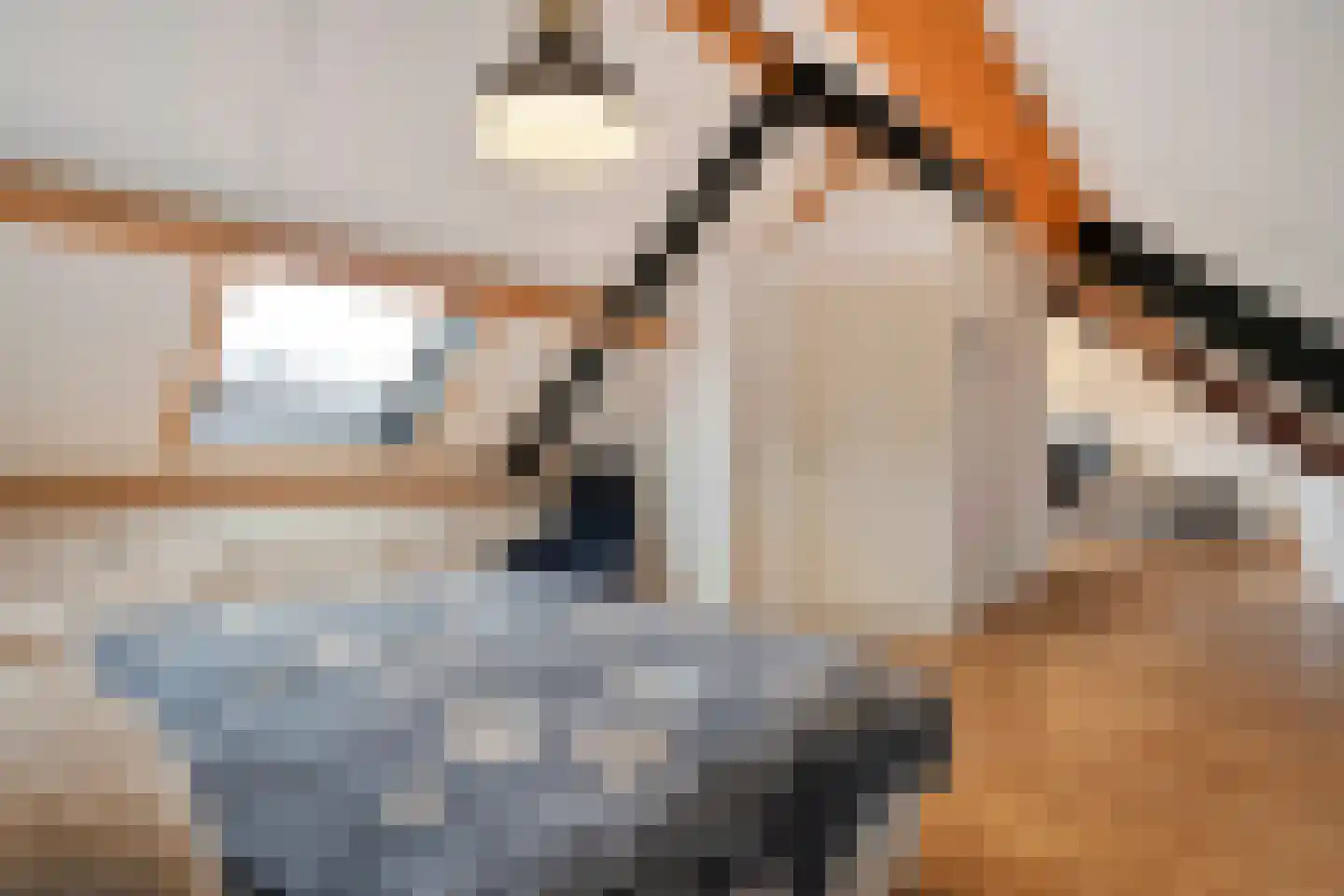 Berend Vinckenstraat 29 Ootmarsum thumbnail 29