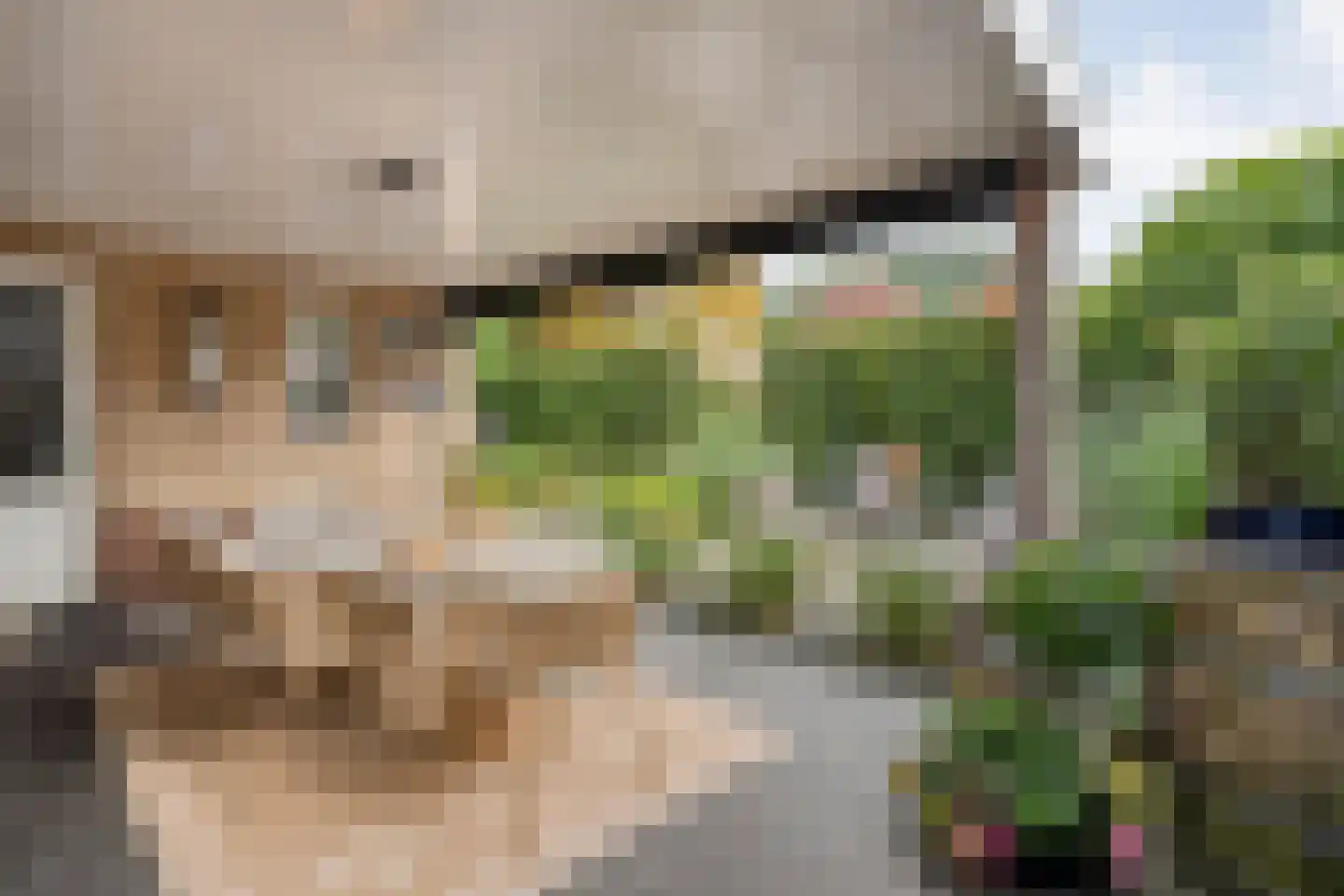 Berend Vinckenstraat 29 Ootmarsum thumbnail 31