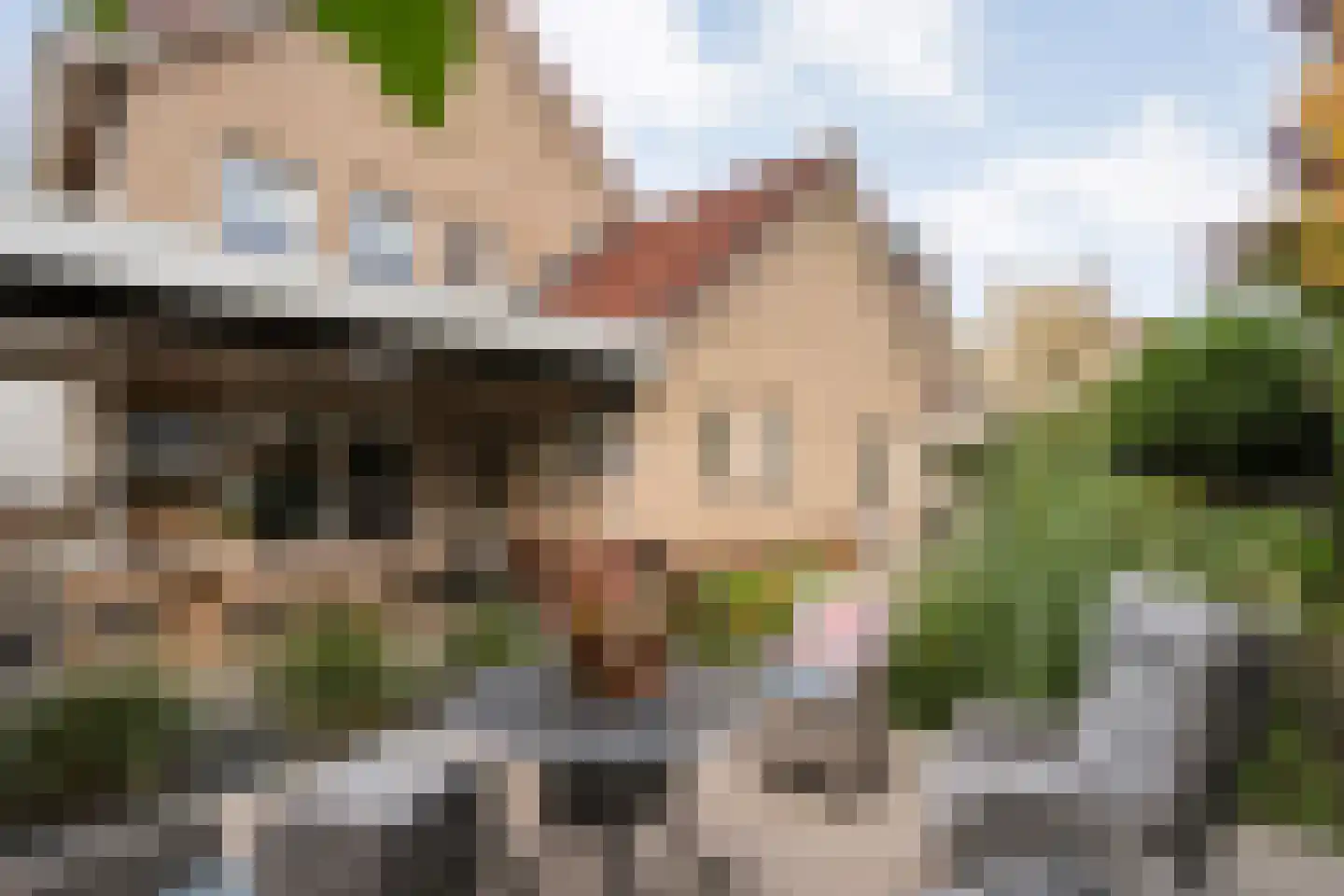Berend Vinckenstraat 29 Ootmarsum thumbnail 33