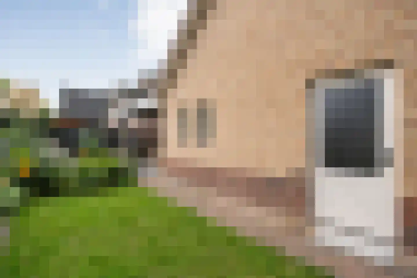 Berend Vinckenstraat 29 Ootmarsum thumbnail 34
