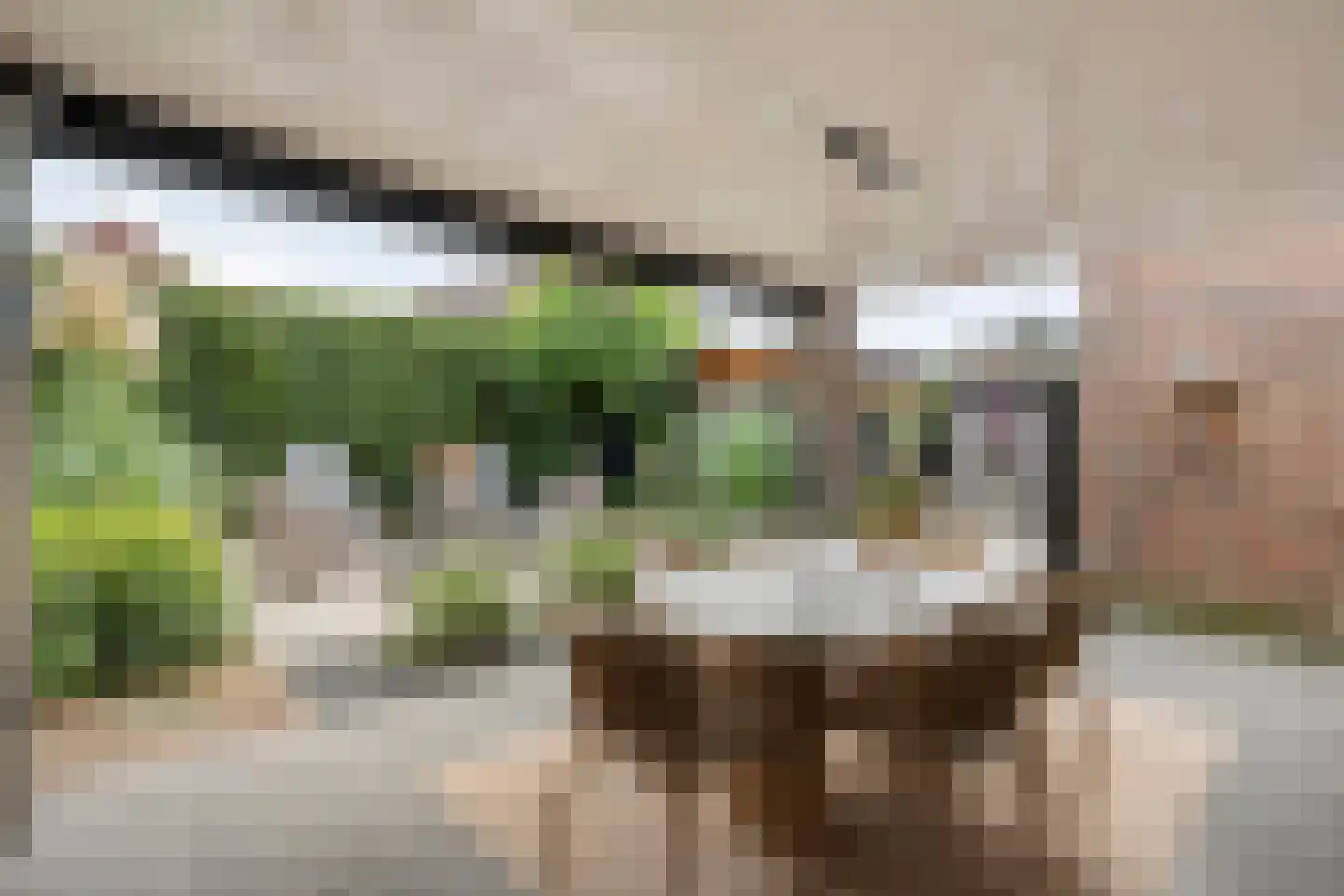 Berend Vinckenstraat 29 Ootmarsum thumbnail 4
