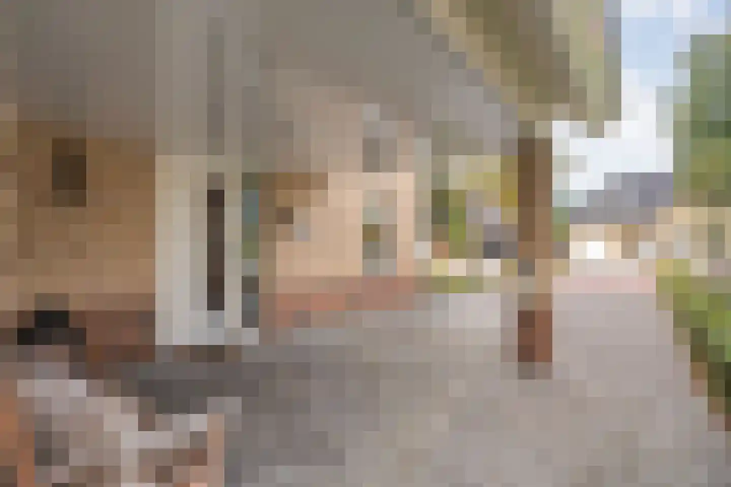 Berend Vinckenstraat 29 Ootmarsum thumbnail 5