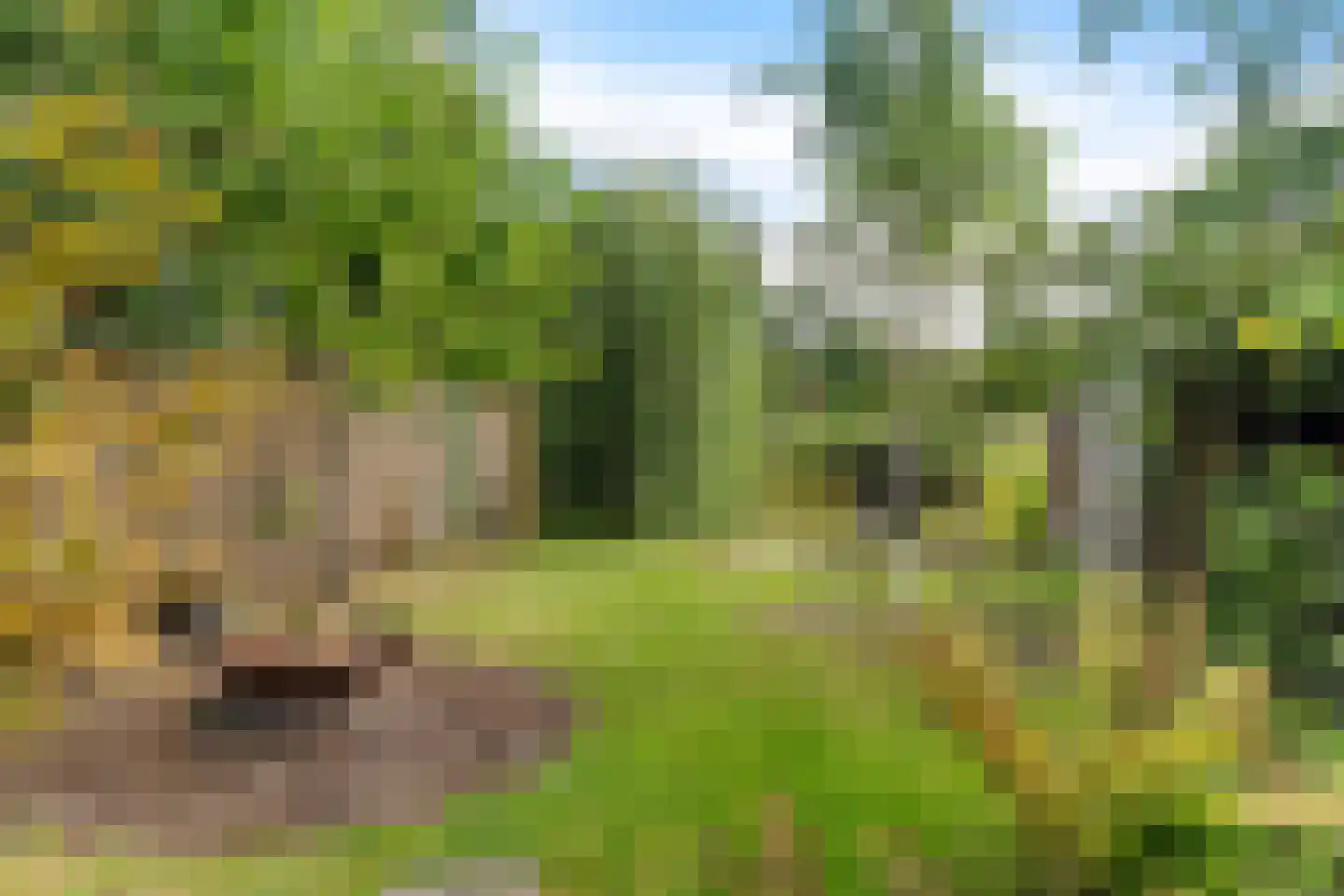 Berendinastraat 25 Hengelo thumbnail 30
