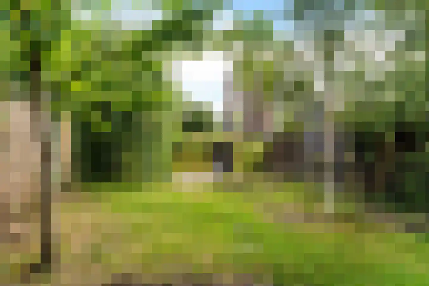 Berendinastraat 25 Hengelo thumbnail 31