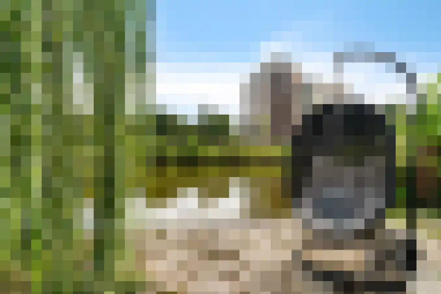 Berendinastraat 25 Hengelo thumbnail 32