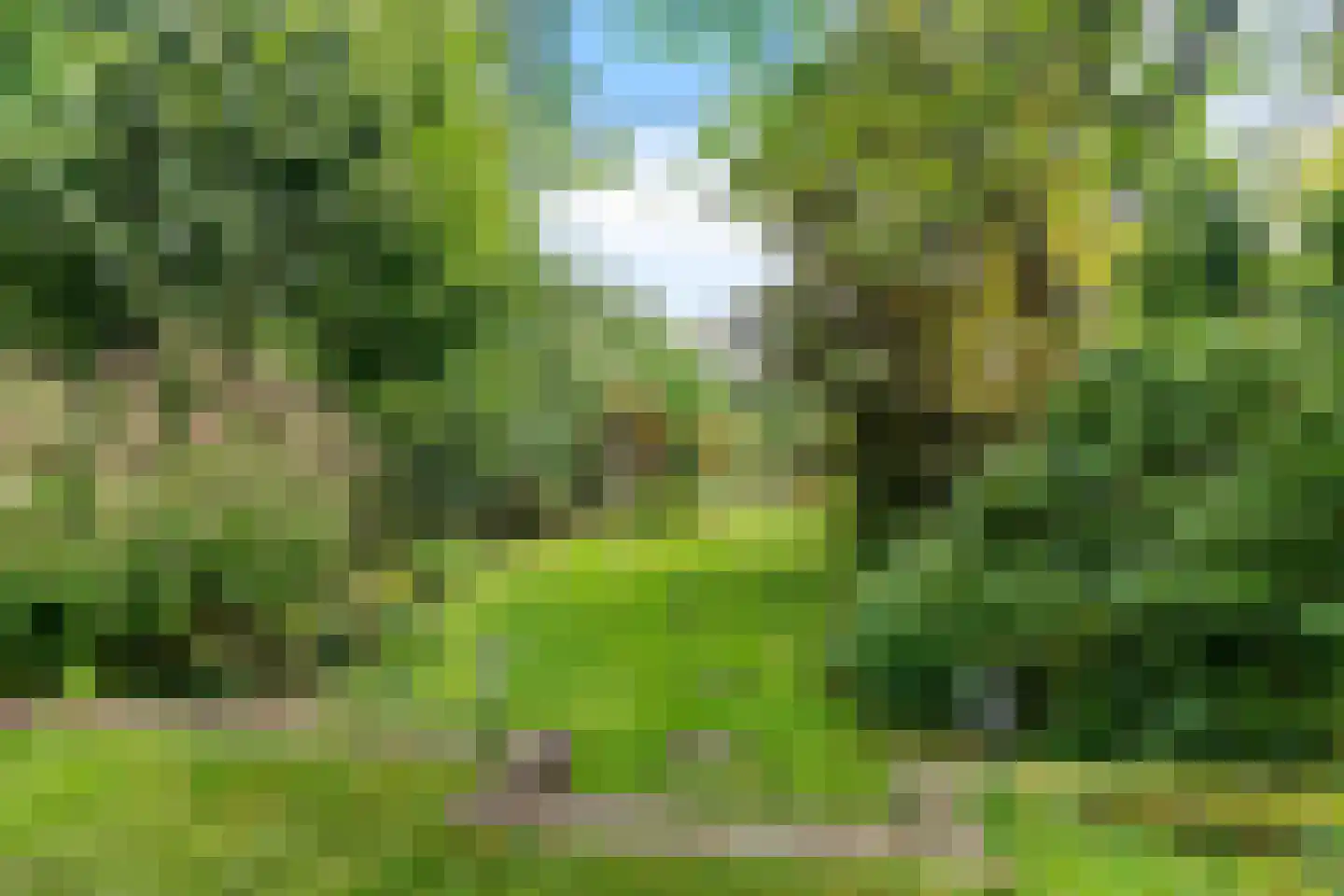 Berendinastraat 25 Hengelo thumbnail 35