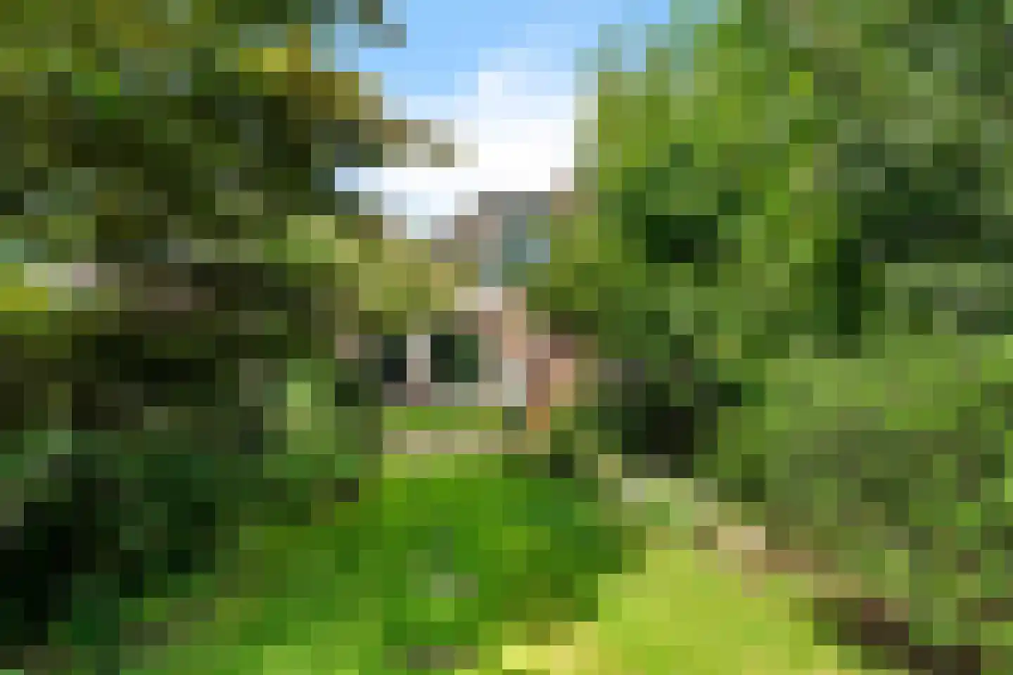 Berendinastraat 25 Hengelo thumbnail 36