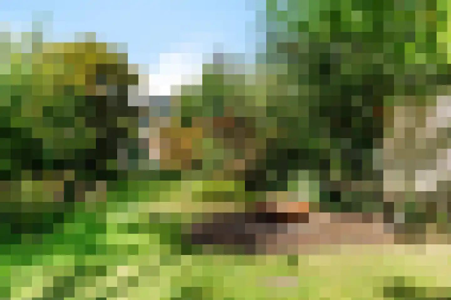 Berendinastraat 25 Hengelo thumbnail 38