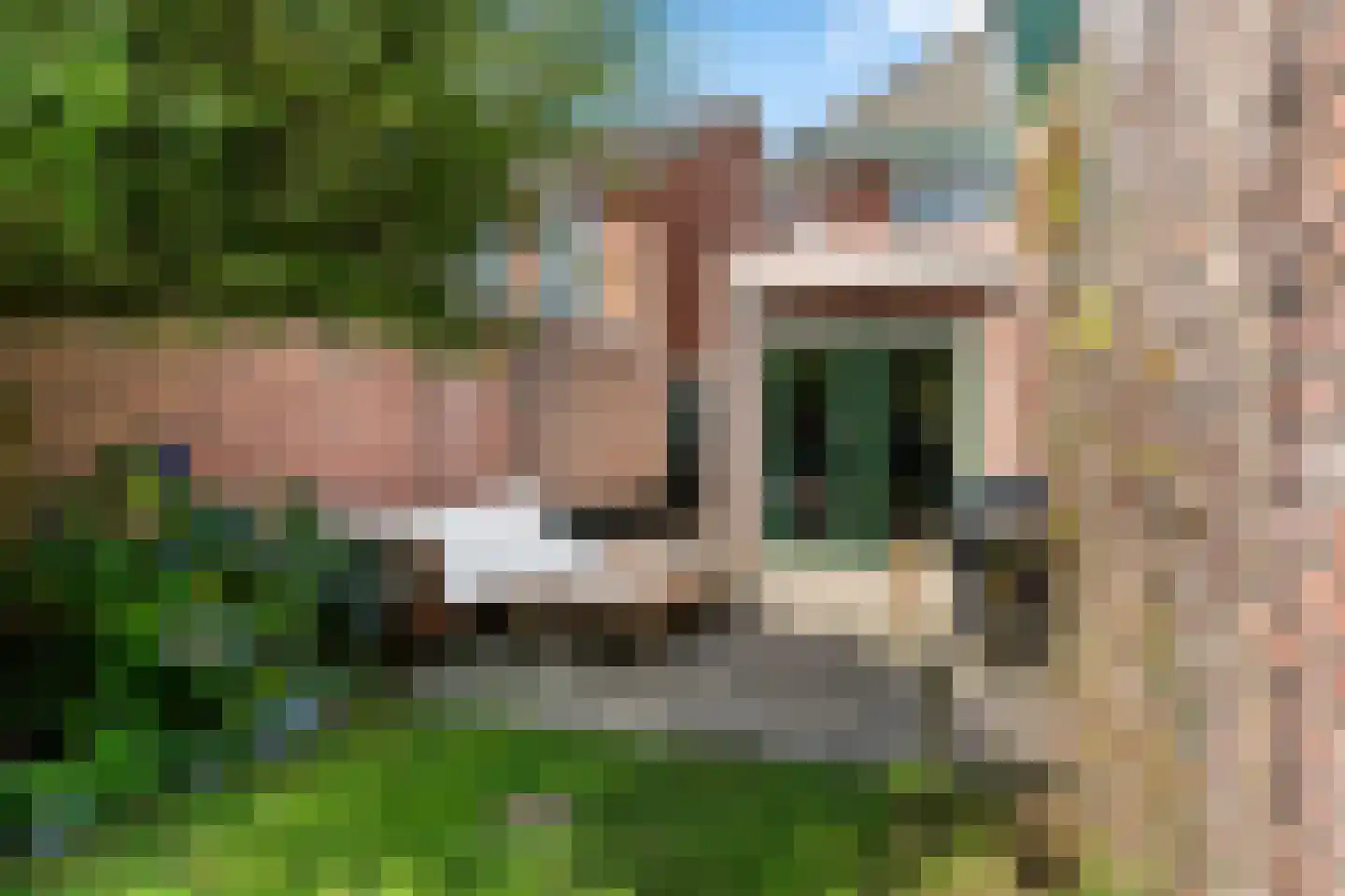 Berendinastraat 25 Hengelo thumbnail 39