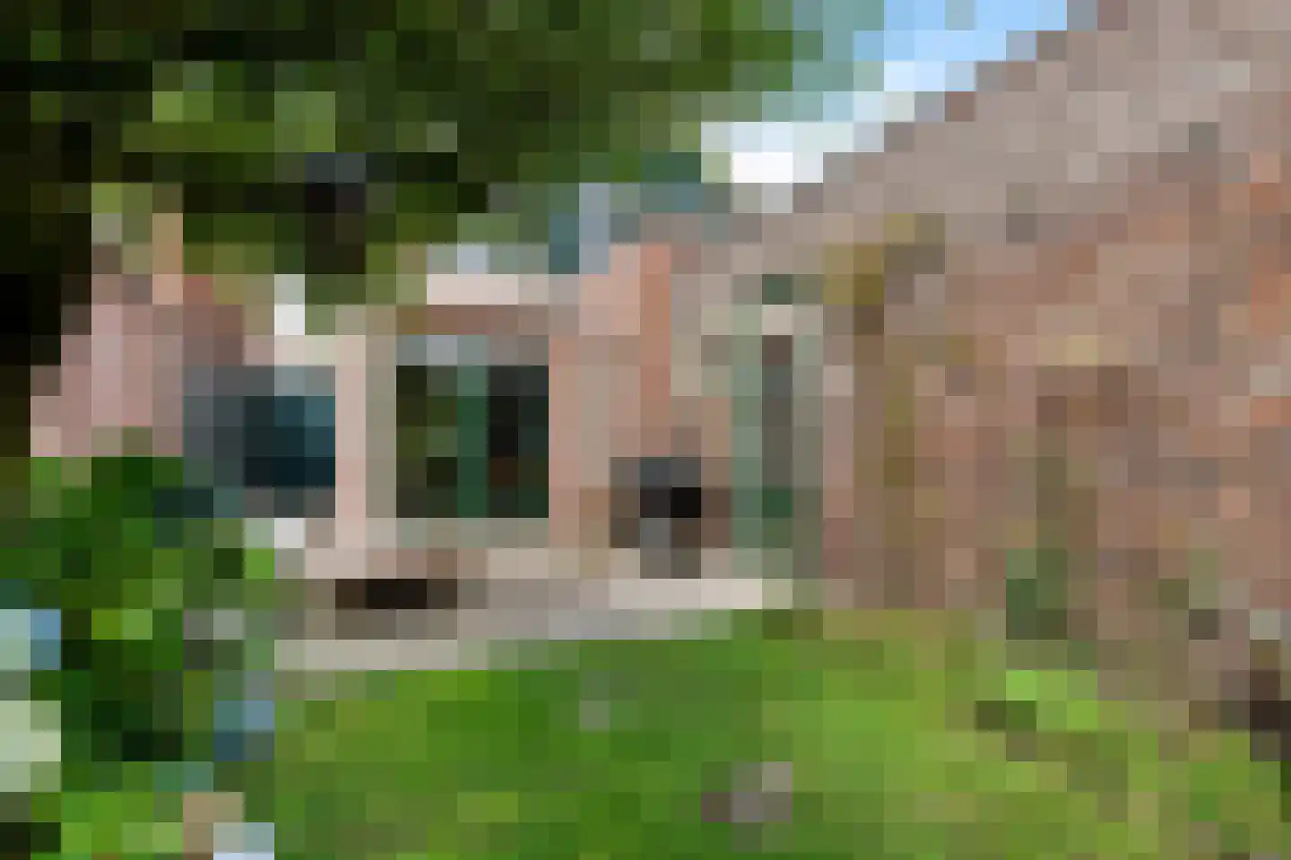 Berendinastraat 25 Hengelo thumbnail 4