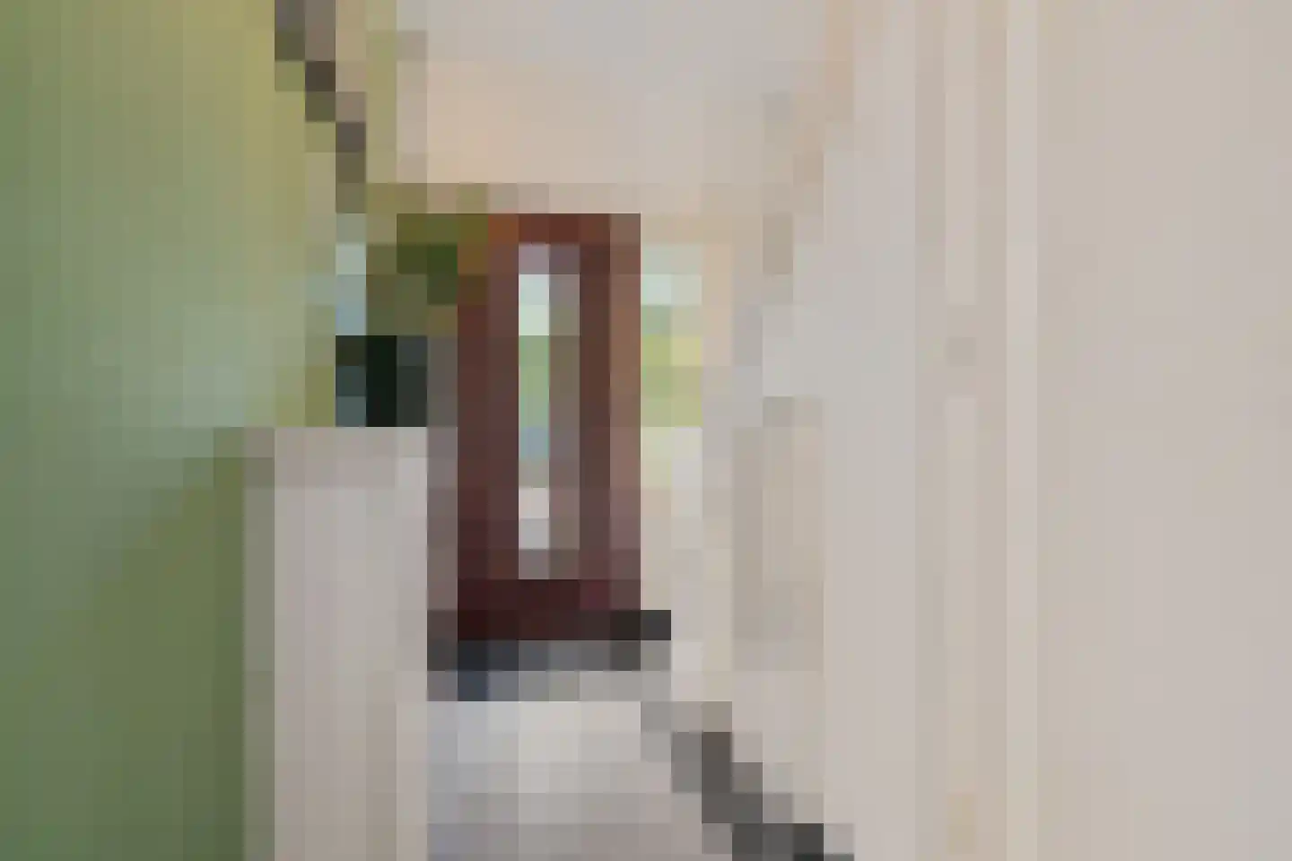Berendinastraat 25 Hengelo thumbnail 7