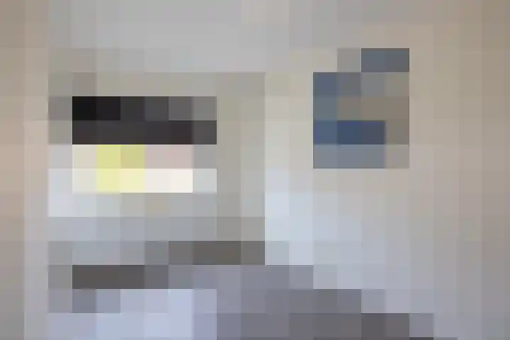 Berendinastraat 35 Hengelo thumbnail 36