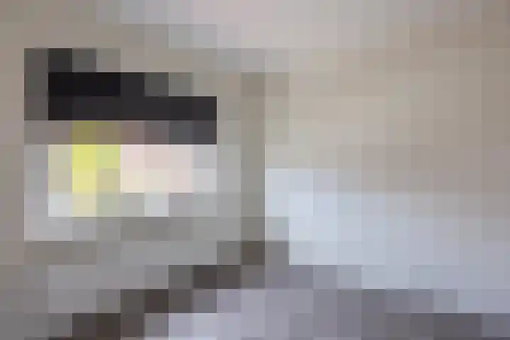 Berendinastraat 35 Hengelo thumbnail 41