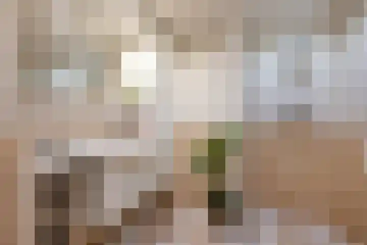 Berendinastraat 35 Hengelo thumbnail 42