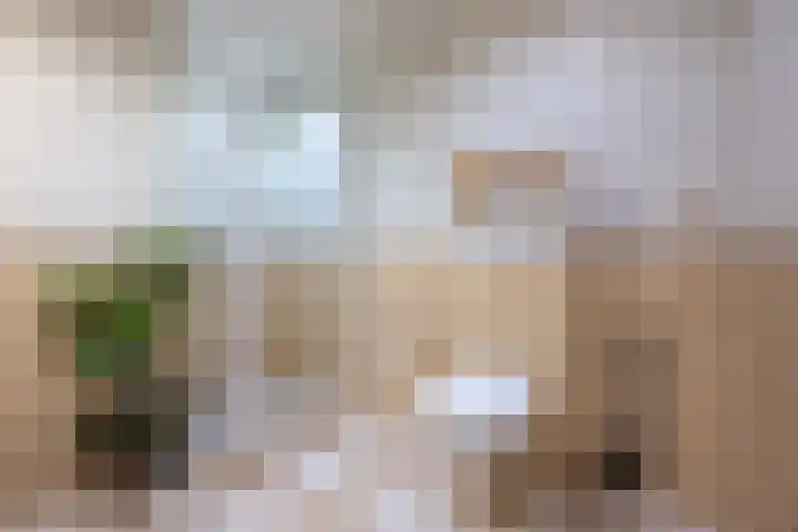 Berendinastraat 35 Hengelo thumbnail 43