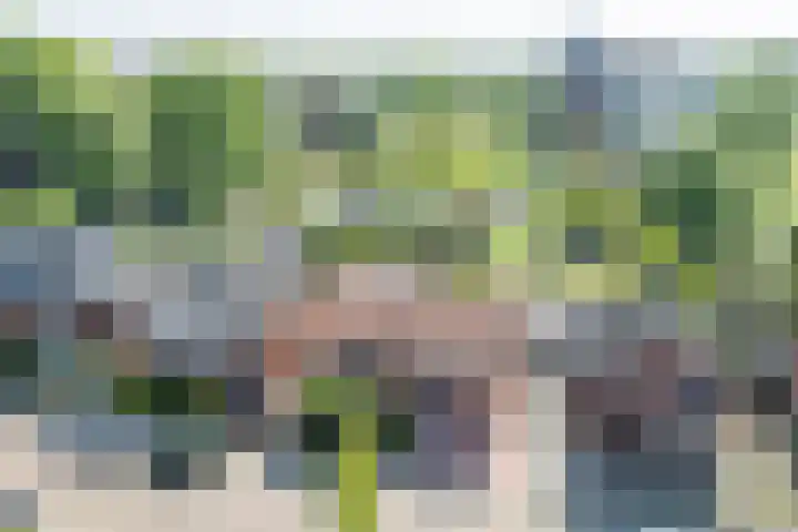 Berendinastraat 35 Hengelo thumbnail 5