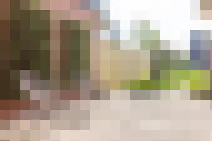 Berendinastraat 35 Hengelo thumbnail 51