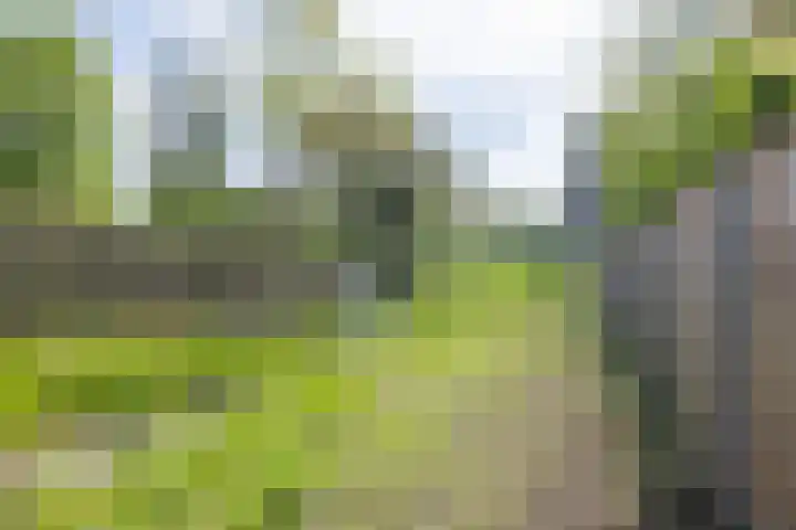 Berendinastraat 35 Hengelo thumbnail 52