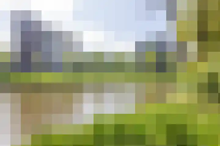 Berendinastraat 35 Hengelo thumbnail 55