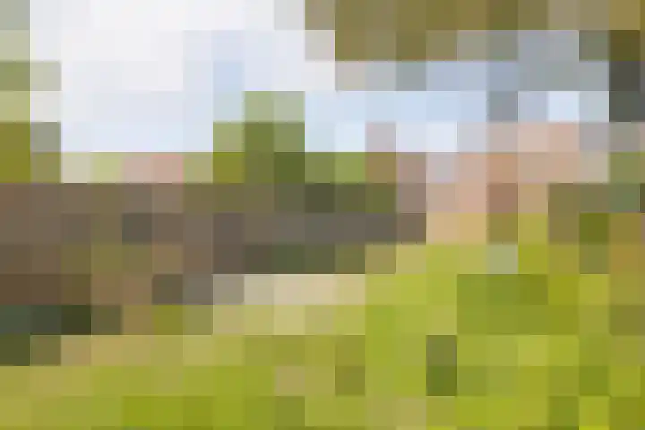 Berendinastraat 35 Hengelo thumbnail 56