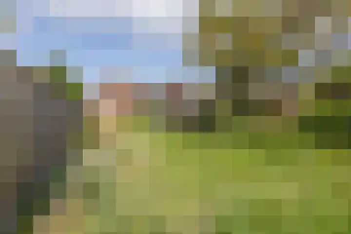 Berendinastraat 35 Hengelo thumbnail 57