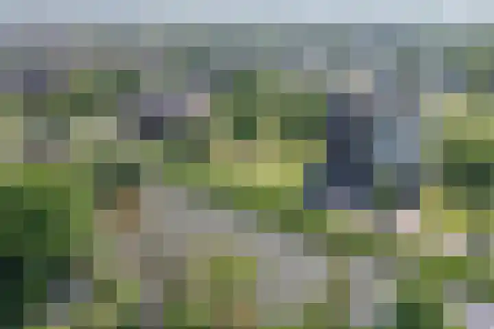 Berendinastraat 35 Hengelo thumbnail 63