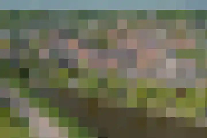 Berendinastraat 35 Hengelo thumbnail 65