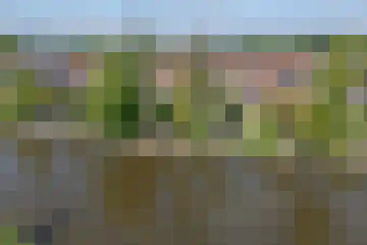 Berendinastraat 35 Hengelo thumbnail 66
