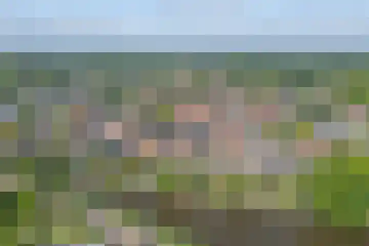 Berendinastraat 35 Hengelo thumbnail 67