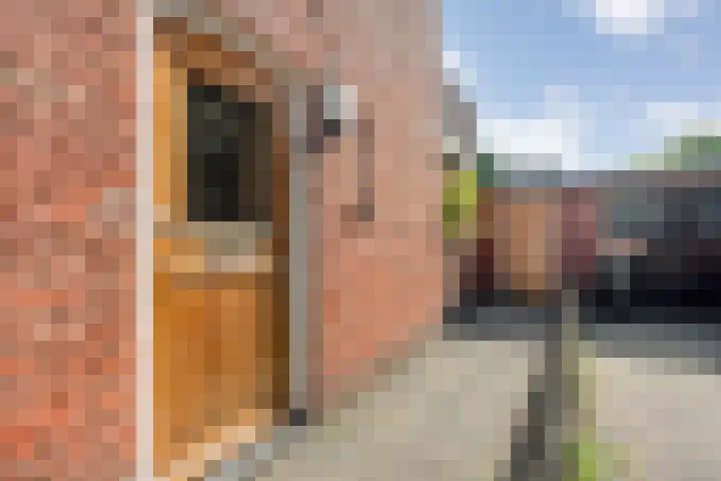Berendinastraat 41 Hengelo thumbnail 12