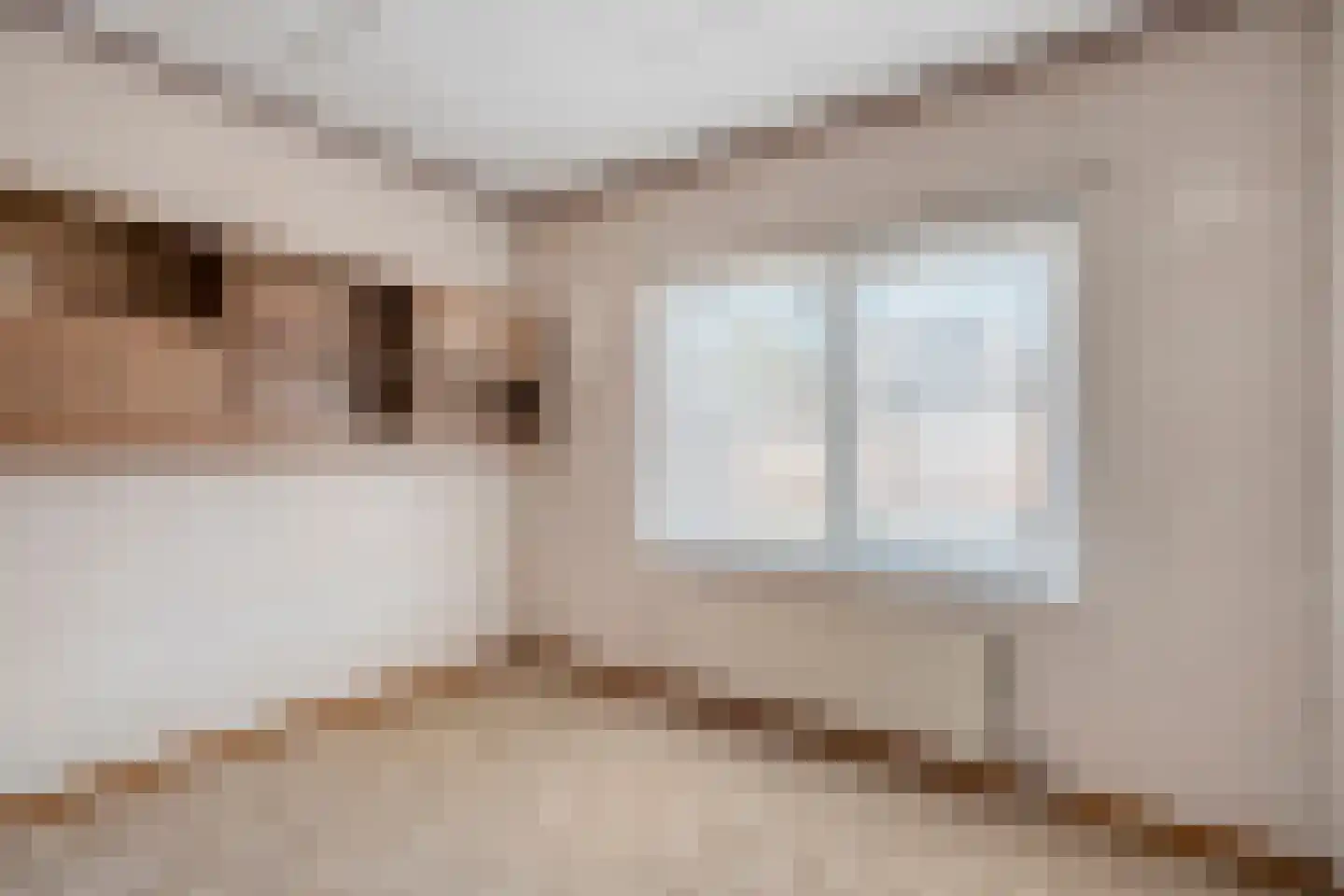 Berendinastraat 41 Hengelo thumbnail 33
